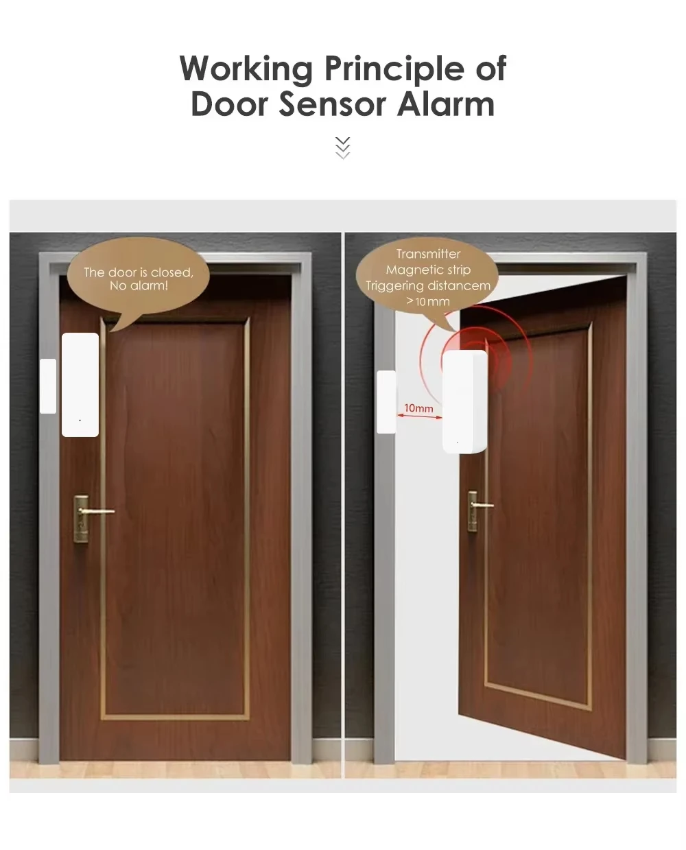 Tuya Zigbee/WiFi Sensor Jendel - Smart Home Gateway ulasan dan harga