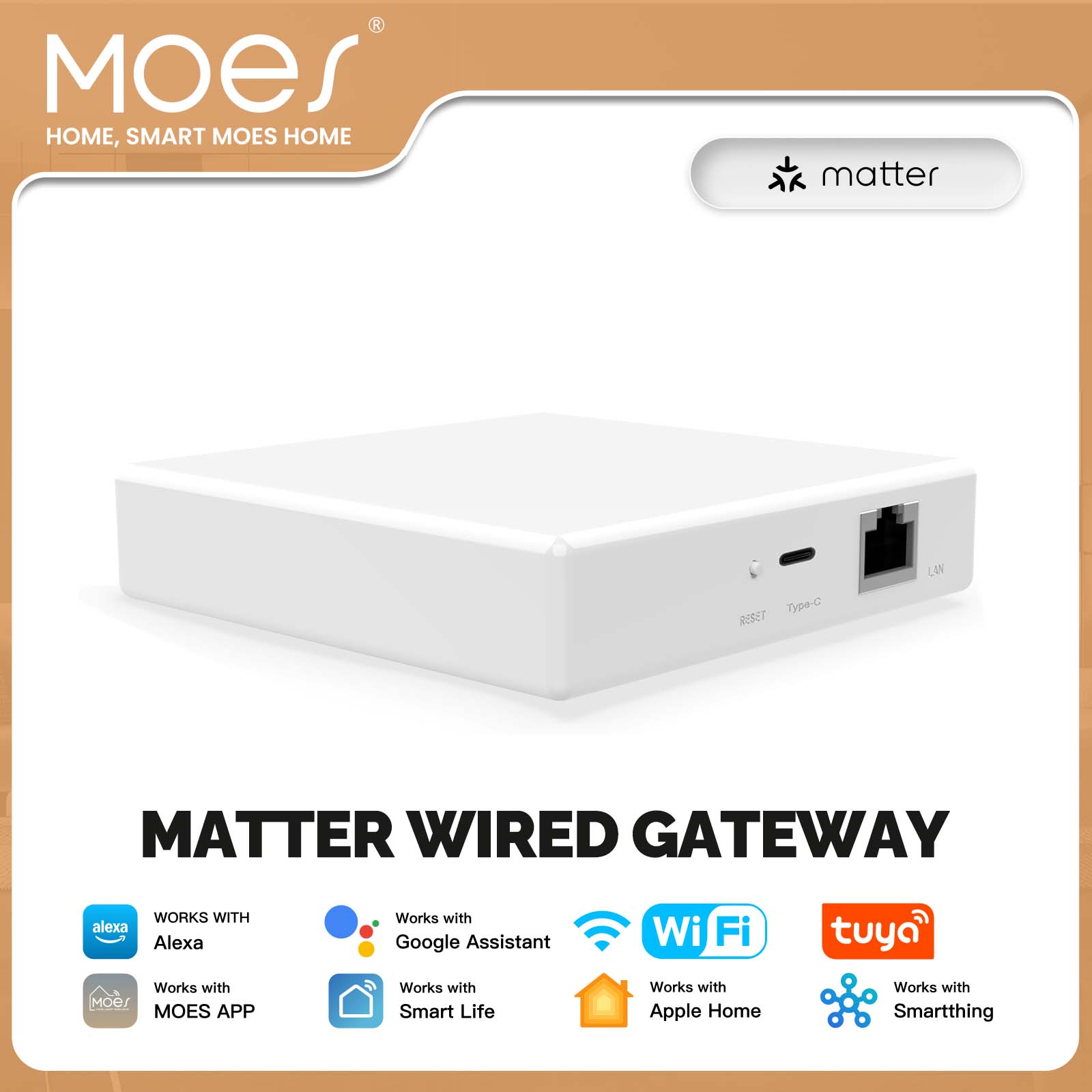 MOES Tuya ZigBee Matter Thread - Smart Home Hub Ikea ulasan dan harga